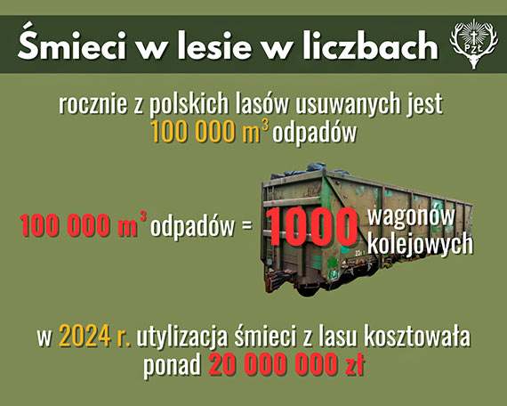 ZWIERZTA NIE MIEC. LUDZIE – TAK! Ty nie widzisz, ale one czuj. Dlaczego mieci w lesie to nie tylko brzydki widok?