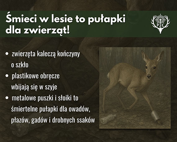 ZWIERZTA NIE MIEC. LUDZIE – TAK! Ty nie widzisz, ale one czuj. Dlaczego mieci w lesie to nie tylko brzydki widok?