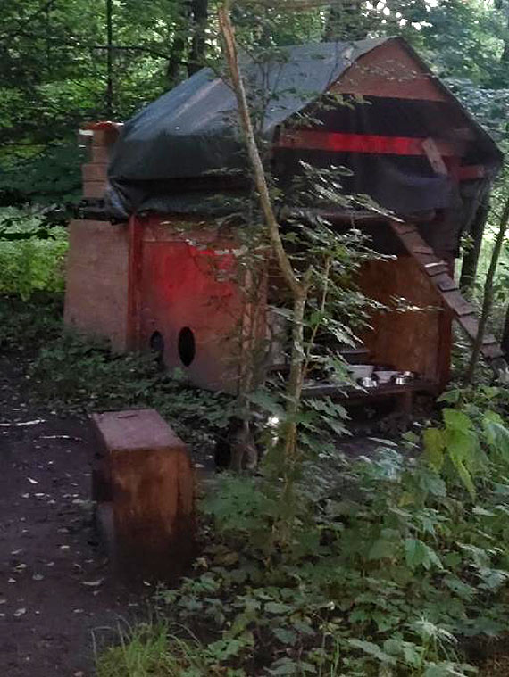 Domek dla kotów w lesie koło Warnowa. Mieszkańcy narzekają na smród i brak ptaków, Nadleśnictwo odpowiada