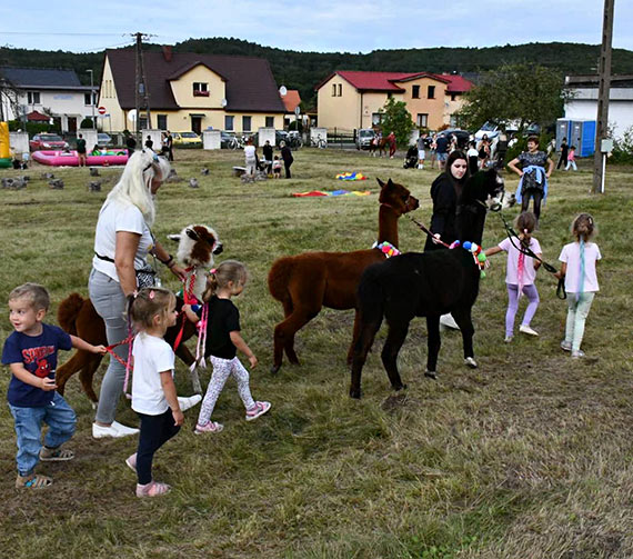 Lot balonem, alpaki i ssiedzka zabawa w Wapnicy