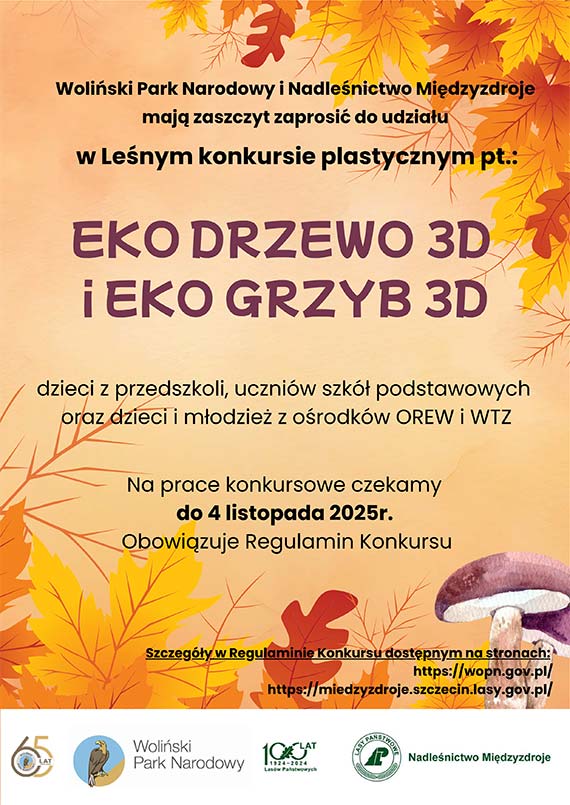 Leny konkurs plastyczny „EKO GRZYB 3D, EKO DRZEWO 3D”