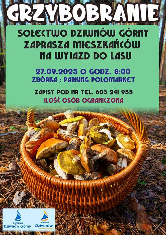 Grzybobranie