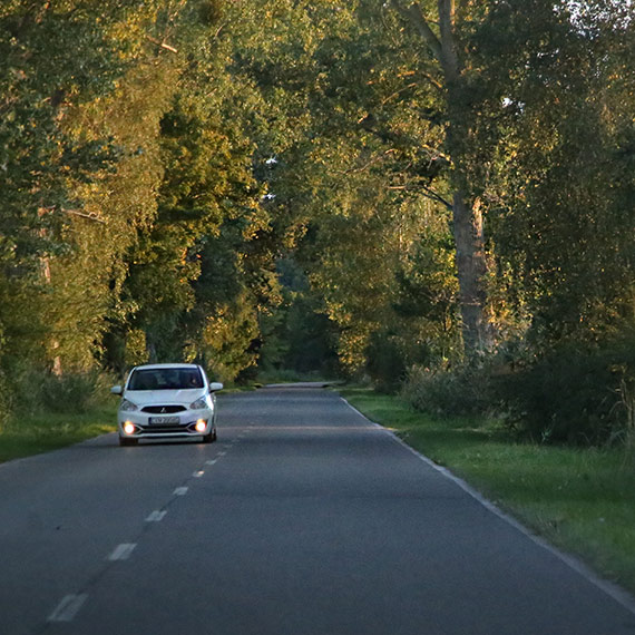Niemcy cinaj pobocza szerzej - wiksze bezpieczestwo na drogach. Czy my powinny bra przykad?