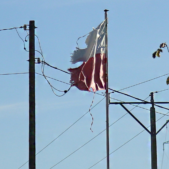 Rozszarpana biało-czerwona w Wicku. Symbol narodowy w stanie, który woła o interwencję