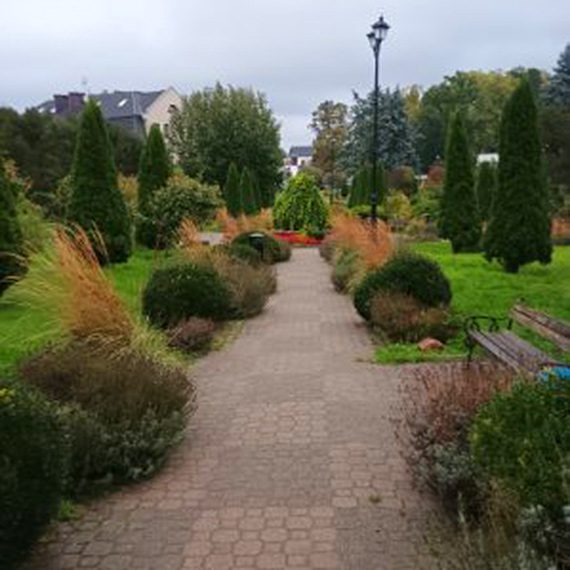 Plac 5 Marca pod lupą: petycja przeciw wycince, projekt „zielono-niebieski”, a w tle pytania o konsultacje i wykonawcę