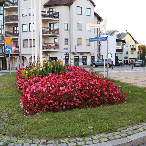 Międzyzdroje zachwycały kolorami! Begonie przez całe lato zdobiły centrum miasta