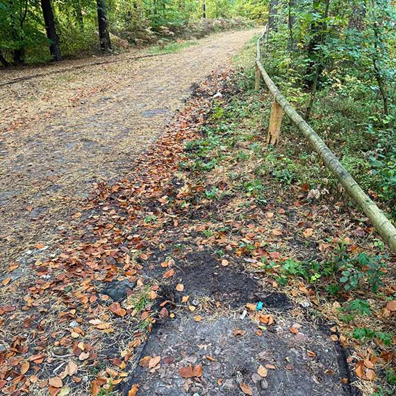 Zaginął Toi-Toi w Lubiewie! Burmistrz: „Chyba kogoś bardzo mocno przycisnęło”