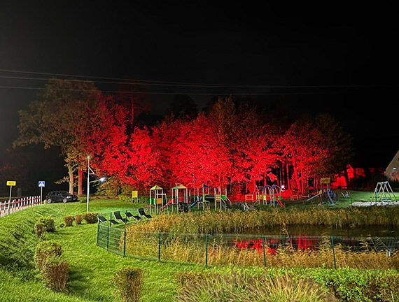 ¦wietlne B³onia w ¦wierznie rozb³ys³y po raz pierwszy!