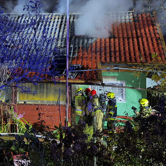 Pożar budynku na terenie ogrodów w Międzyzdrojach. Strażacy walczyli z ogniem. Zobacz film!