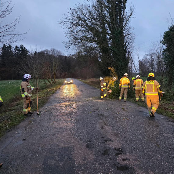 Drzewo run�o na jezdni� mi�dzy Stuchowem a Cies�awiem. Interweniowa�y dwa zast�py OSP