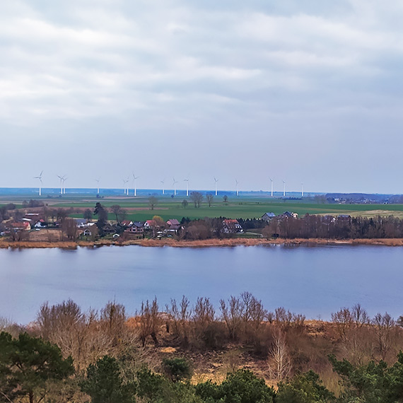 Gdy mrozy odpuszcz�, to dobry moment na spacer