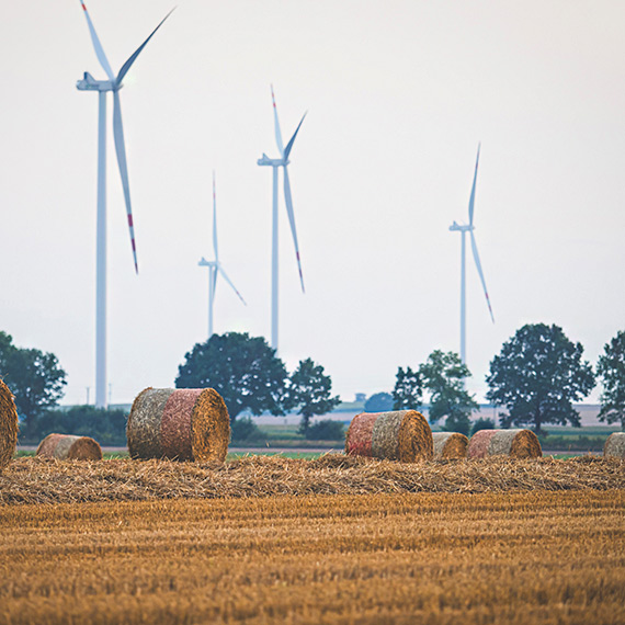 Mieszka�cy gminy Wolin sprzeciwiaj� si� planom budowy farmy wiatrowej. B�dzie otwarte posiedzenie komisji