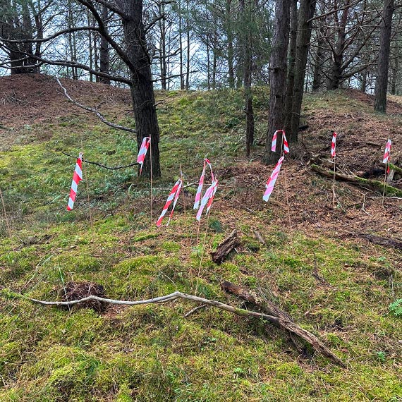 Realne działania na rzecz ochrony środowiska