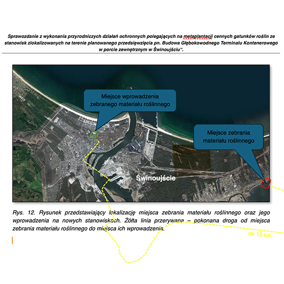 Realne działania na rzecz ochrony środowiska