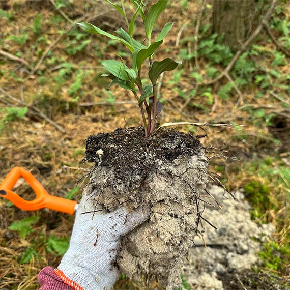 Realne działania na rzecz ochrony środowiska