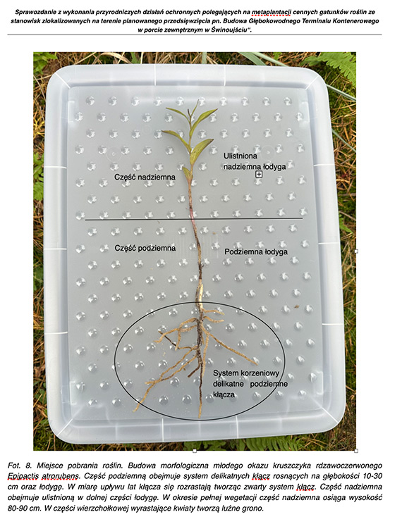 Realne działania na rzecz ochrony środowiska