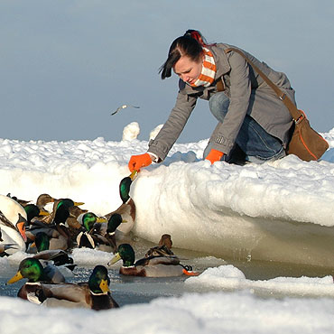 Brrr... zimno. B�dzie jeszcze mro�niej!