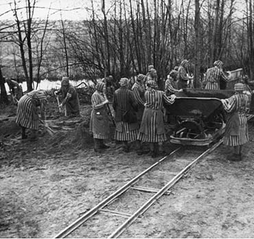 Powiat: Szukaj� robotnik�w przymusowych z lat 1939 -1950