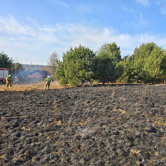 Seria po�ar�w traw w Domys�owie. Stra�acy interweniowali kilkukrotnie