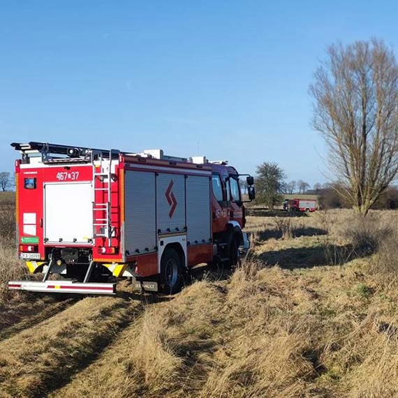 Po�ar trzciny w Sibinie. Do akcji ruszy�a OSP Jarszewo