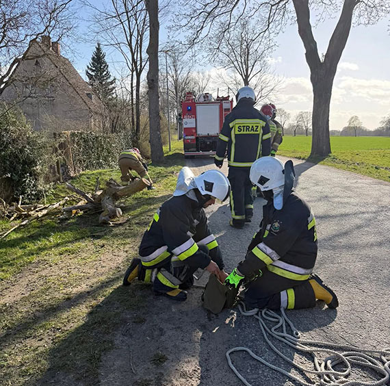 Drzewo spadło na dom w Jarszewie. Interweniowali strażacy
