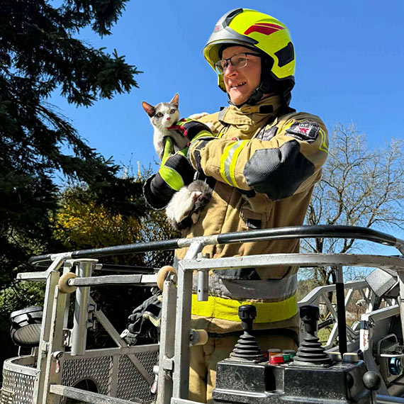 Stra�acy ruszyli na ratunek kotu. Nietypowa akcja OSP Ko�czewo zako�czona sukcesem