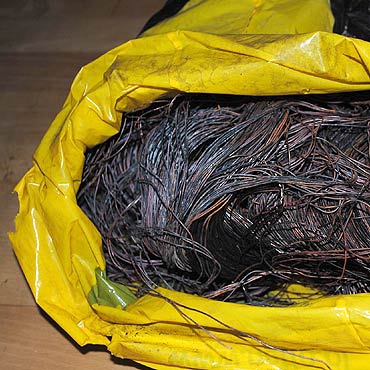 Wspina� si� na drzewa, aby kra�� kable telefoniczne