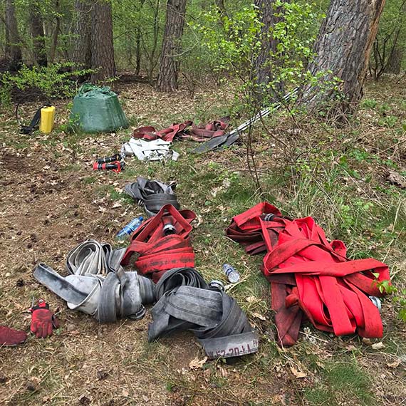 Po�ar lasu w Skoszewie. Stra�acy walczyli z ogniem przez ponad cztery godziny