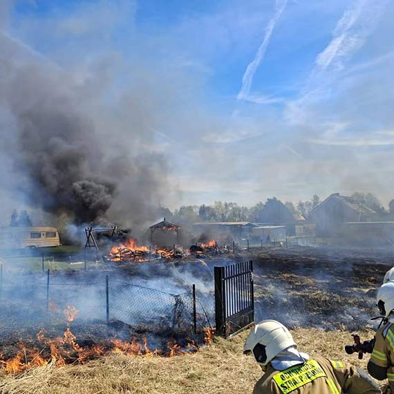 Po�ar traw w Zastaniu. Ogie� zagrozi� przyczepom kempingowym