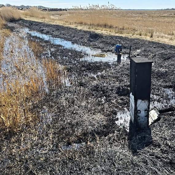 Po�ar trzcin w �wi�tou�ciu. Stra�acy opanowali ogie� w trudnych warunkach