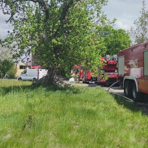 Pożar warsztatu w Dusinie. Na miejscu strażacy z kilku jednostek