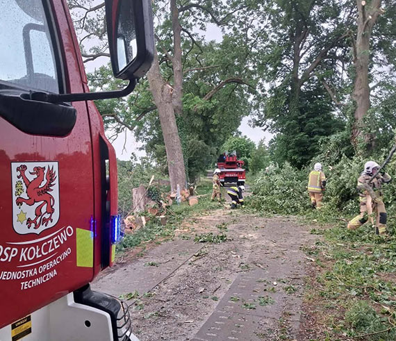 Pęknięty konar zawisł nad drogą. Interweniowali strażacy z Kołczewa