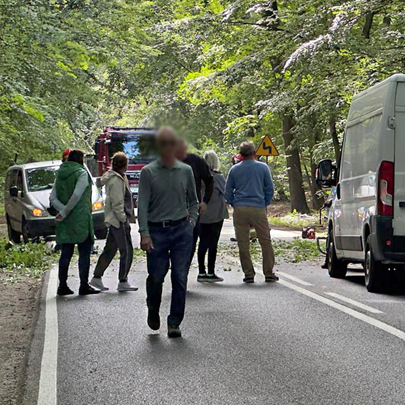 O włos od tragedii pod Międzyzdrojami. „Drzewo spadło kilka metrów przed maską. Hamowałem z całej siły”