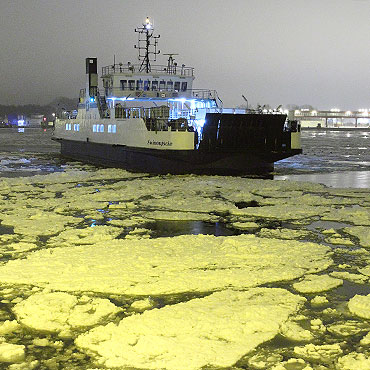 Koniec lodowego horroru. Bieliki ruszy�y