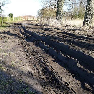 Chrząszczewo: Ograniczenie nie dla wszystkich