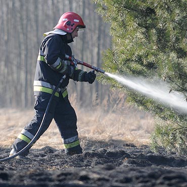 Region: 5 tys. z� grzywny za wypalanie traw