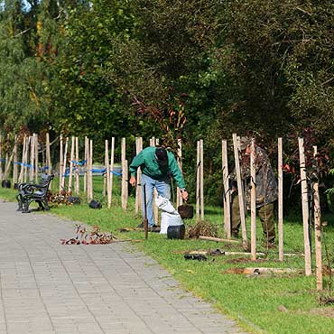 Golczewo: Kiermasz krzewów i drzewek ozdobnych