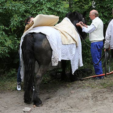 Ko� dosta� zakwas�w i upad�. Pom�g� mu weterynarz