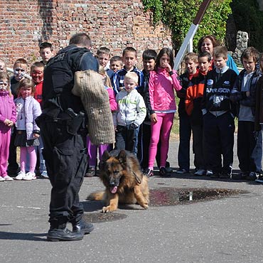 Policjanci odwiedzili szkoły