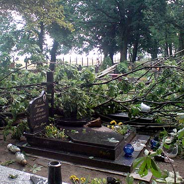Strażacy interweniowali 35 razy. Wyjeżdżali do powalonych drzew