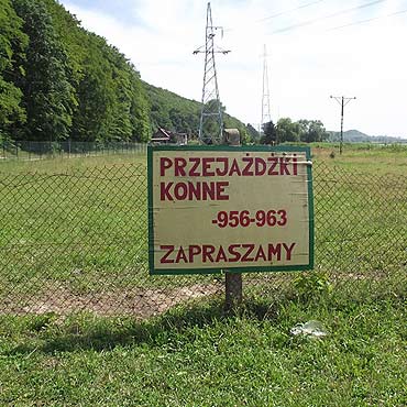 Wicko: Ko� sma�y� si� w 30 stopniowym upale