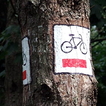 Golczewo: Tajemnice codzienności na rowerowym rajdzie