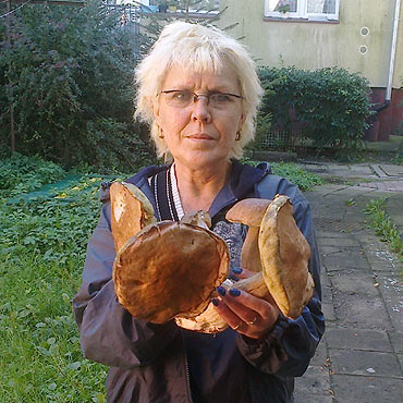 W lasach są już grzyby