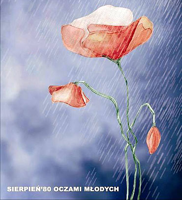 Kolejna plenerowa wystawa na Rynku Starego Miasta w Kamieniu Pomorskim