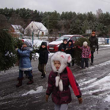 �adzin: Uczniowie dostali choinki prosto z lasu