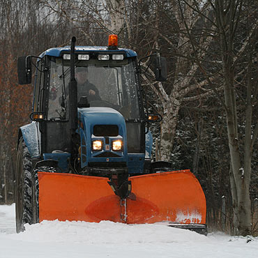 �lisko na drogach! Noga z gazu