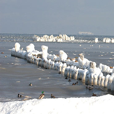 �wi�ta sp�dz� nad morzem