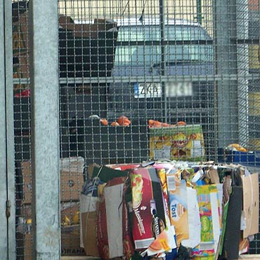 Wolin: Supermarkety wyrzucaj� jedzenie do �mietnika