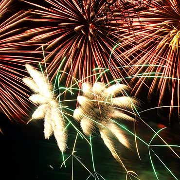 Przygotuj swojego psa do wystrza��w fajerwerk�w