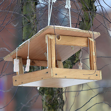 Kamie� Pomorski: Jak urz�dzi� ptasi� sto��wk�?